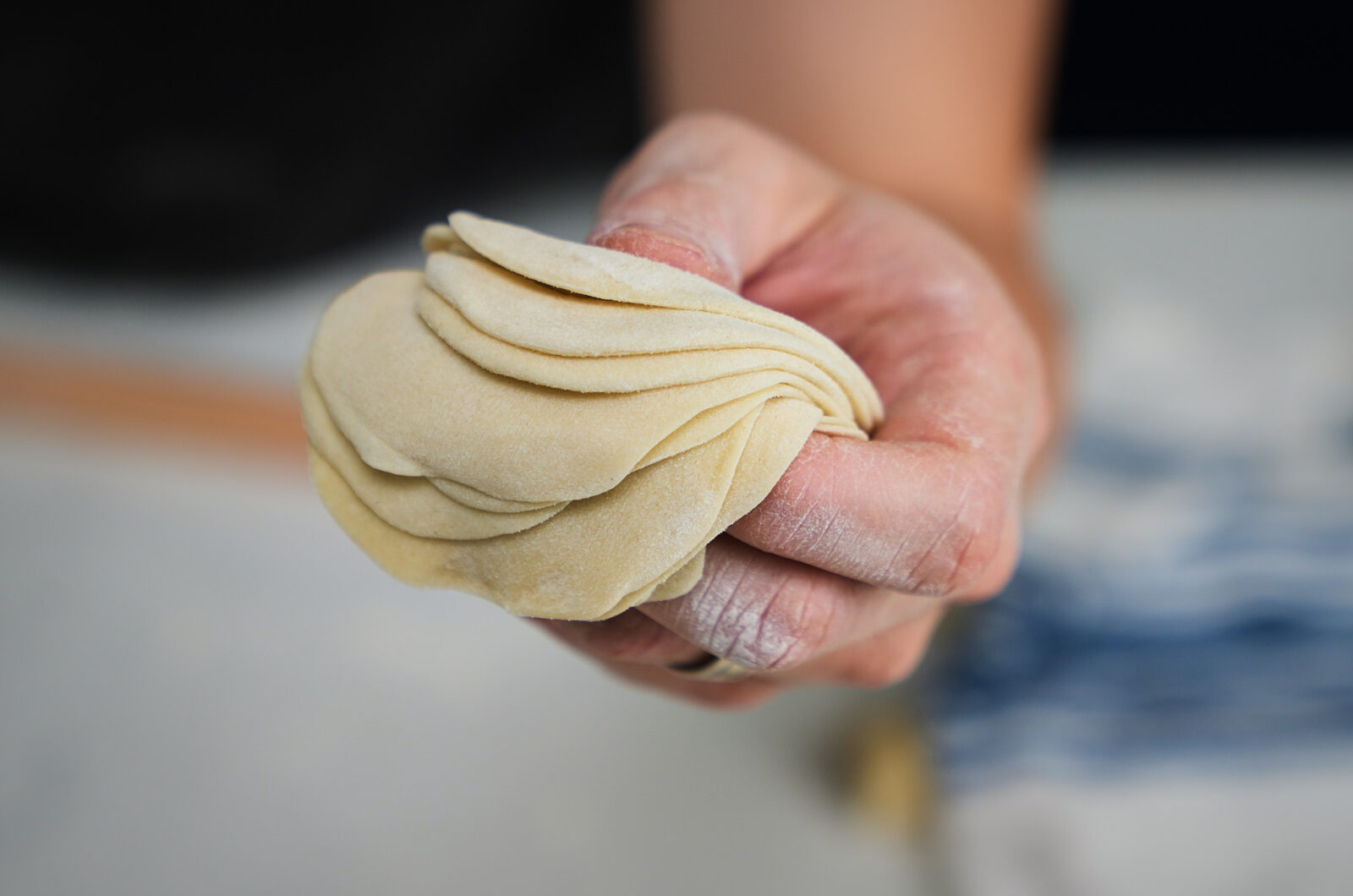 Homemade Dumpling Wrappers
